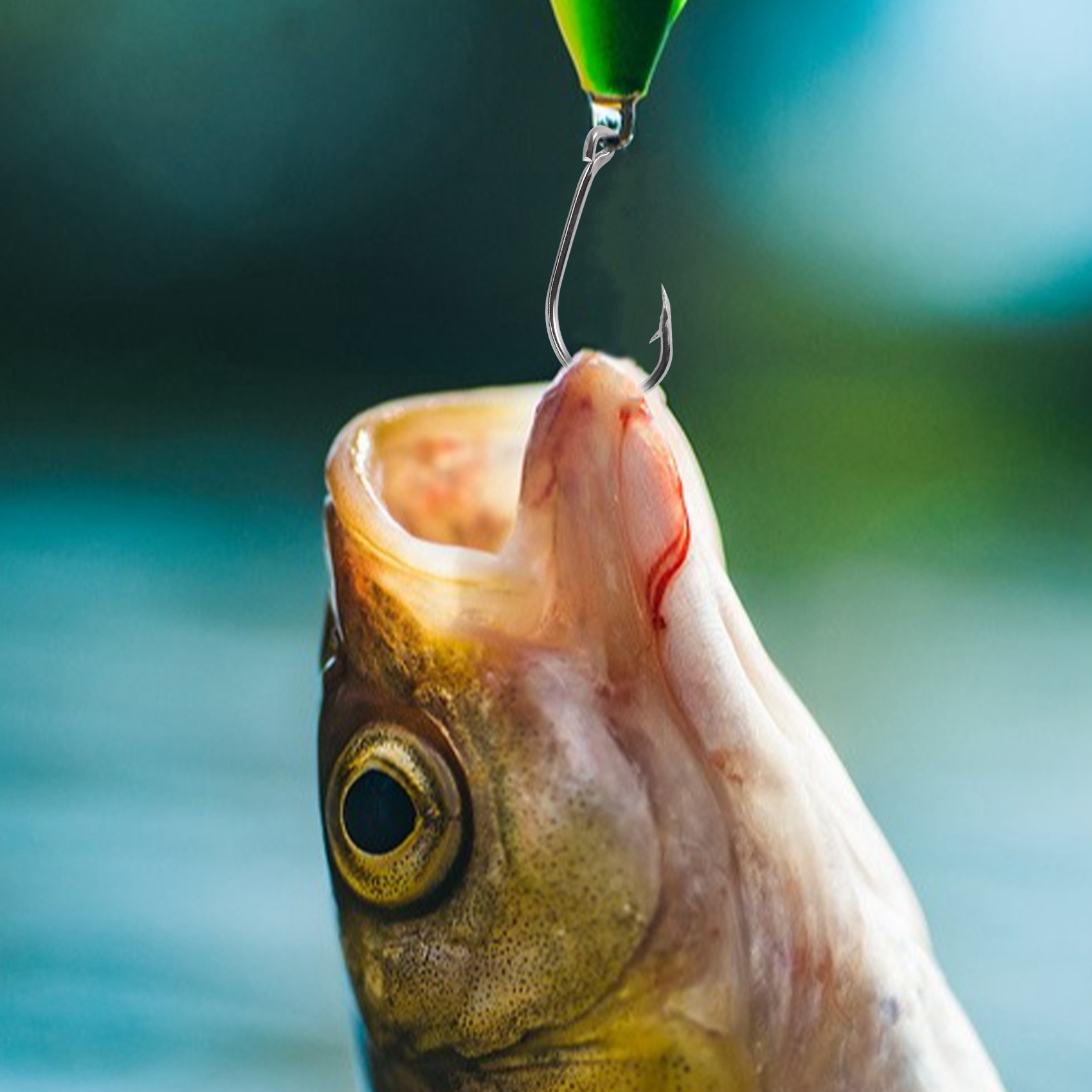 สินค้ามาใหม่ 500 ชิ้น/ชุด ขนาด - Fishing Hook Box บทวิจารณ์และราคา